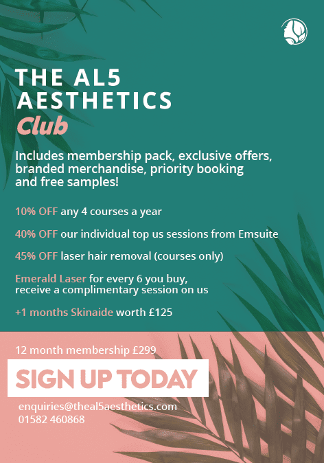 The AL5 Aesthetics Club flyer